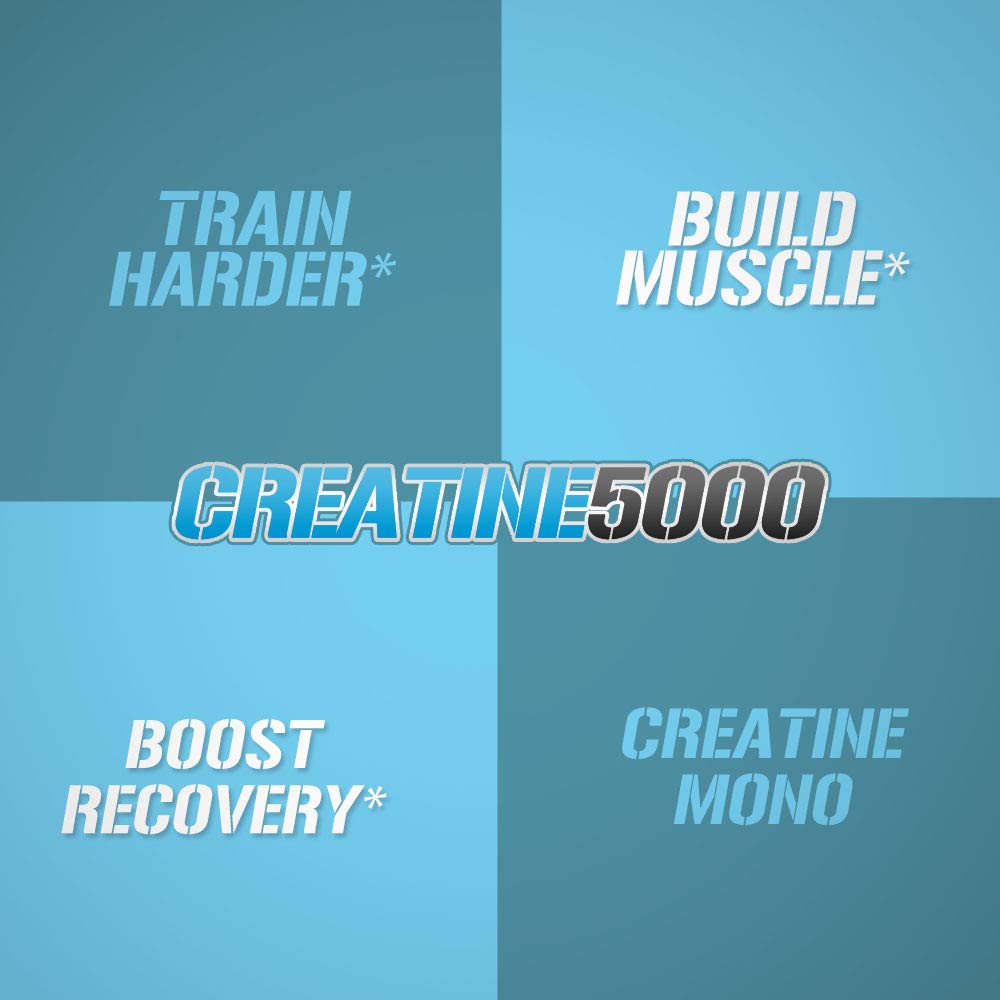 Evlution Nutrition Creatine 5000 - Supports Faster Recovery, Lean Muscle Growth & Performance - Pre & Post Workout Powder - 5000mg Pure Creatine Monohydrate Per Serving - 60 Servings - Unflavored