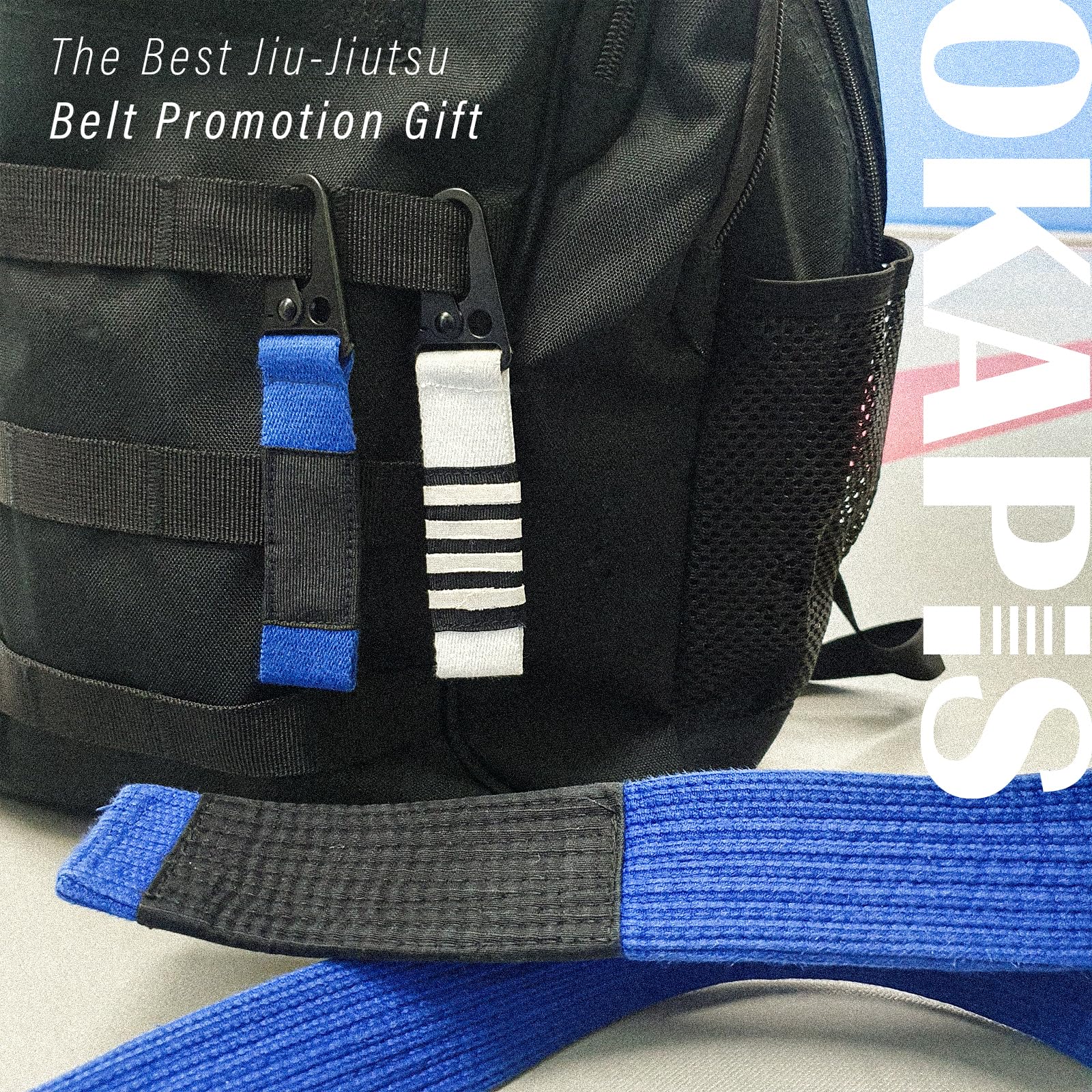 Jiu Jitsu Keychain BJJ Belt Promotion Gift Brazilian Jiu-Jitsu White Blue Purple Brown Black Belt Backpack Keyring